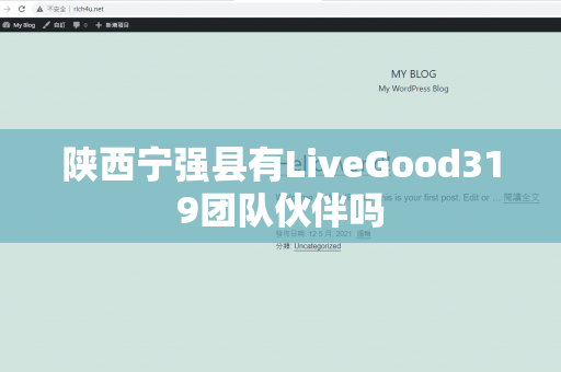 陕西宁强县有LiveGood319团队伙伴吗