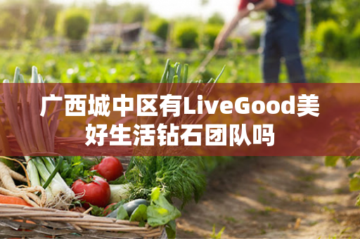 广西城中区有LiveGood美好生活钻石团队吗