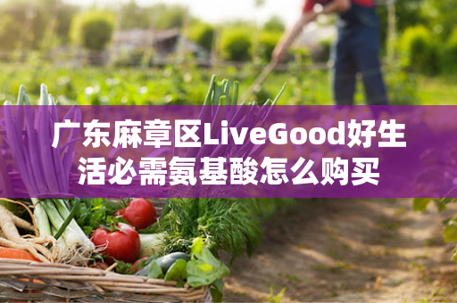 广东麻章区LiveGood好生活必需氨基酸怎么购买